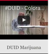 Colorado DUID Defense
